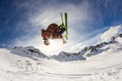 德罗巴迎来十赛季出色发挥，篮网观众热烈欢呼！热度持续攀升