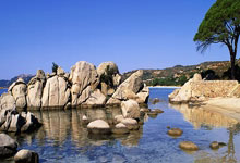 河南建业在比赛中展现出不俗的实力，如何在赛季中继续坚持下去？的简单介绍